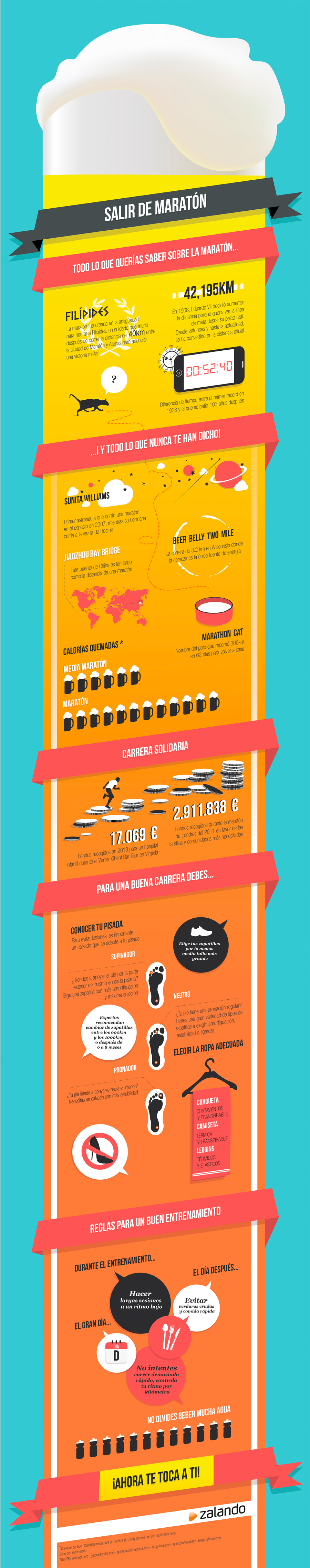 Infografia ZALANDO