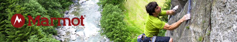 Marmot