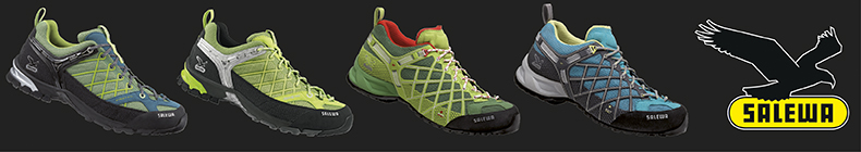 Salewa