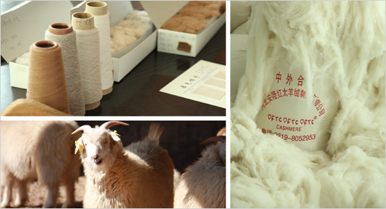 ftccashmere