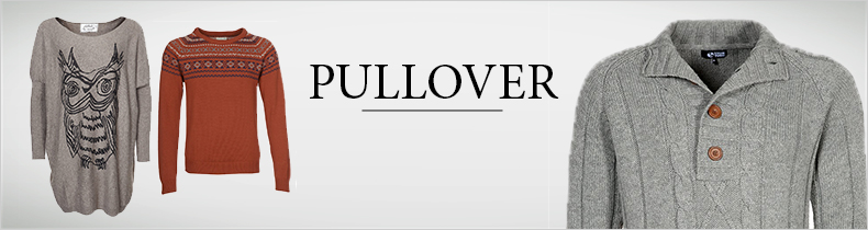 Pullover von Top Marken online