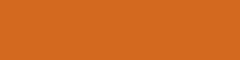 Burnt Orange fashion