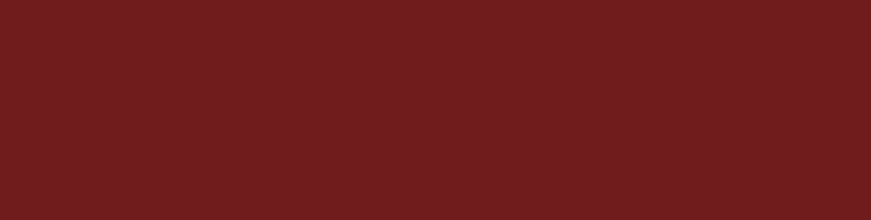 Burgundy fashion
